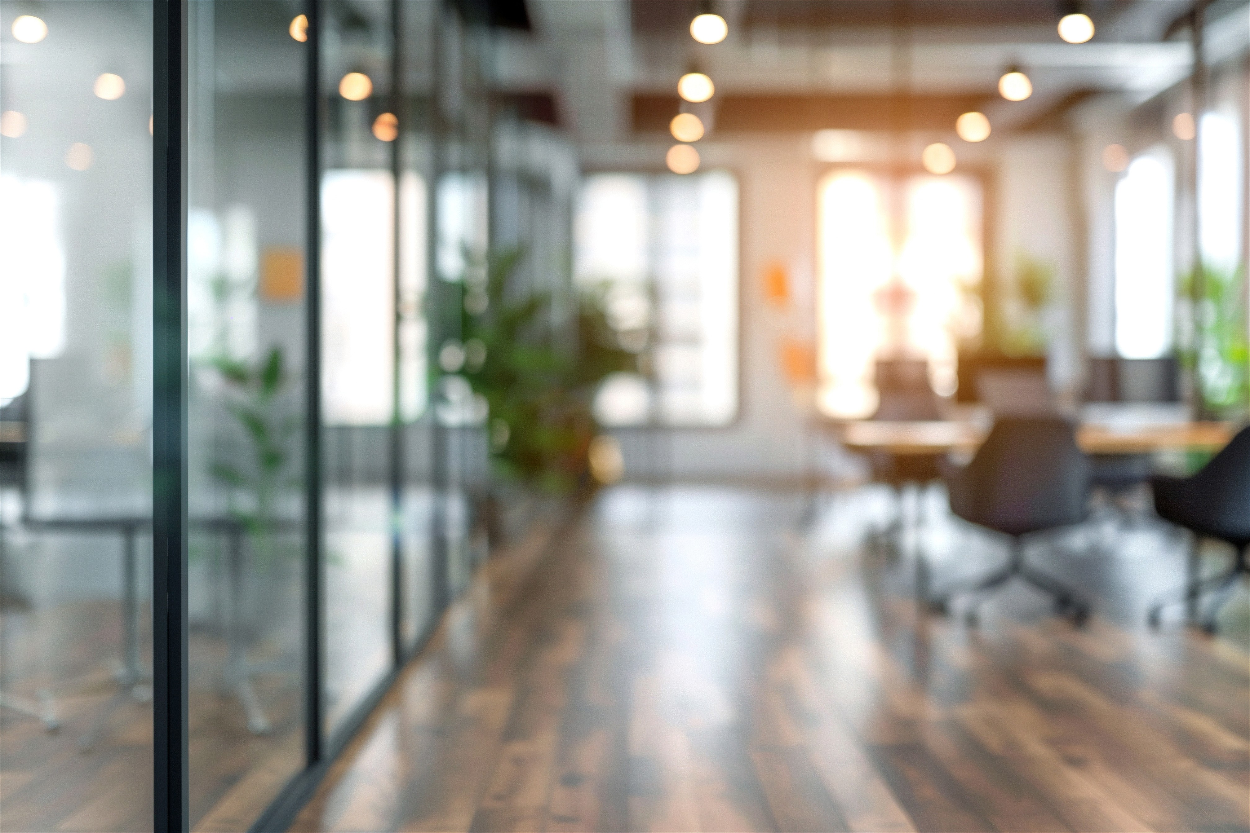 Privacidad y protección de la información